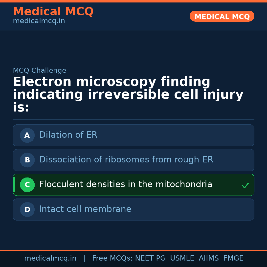 MCQ share card
