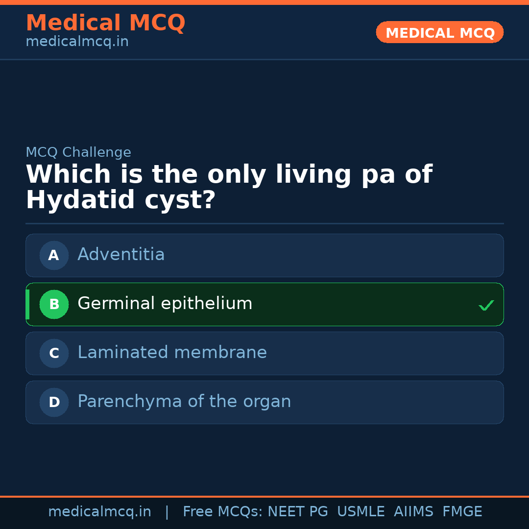 MCQ share card