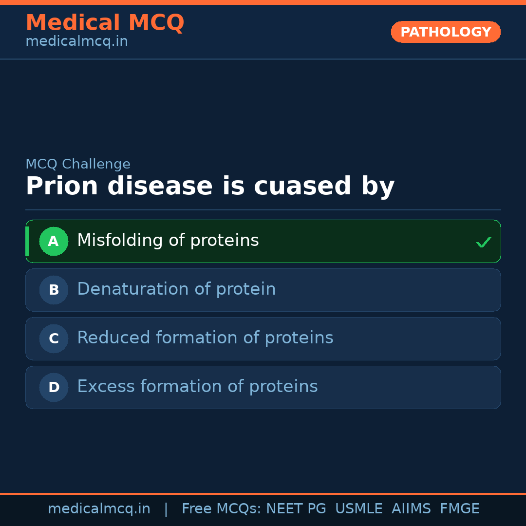MCQ share card