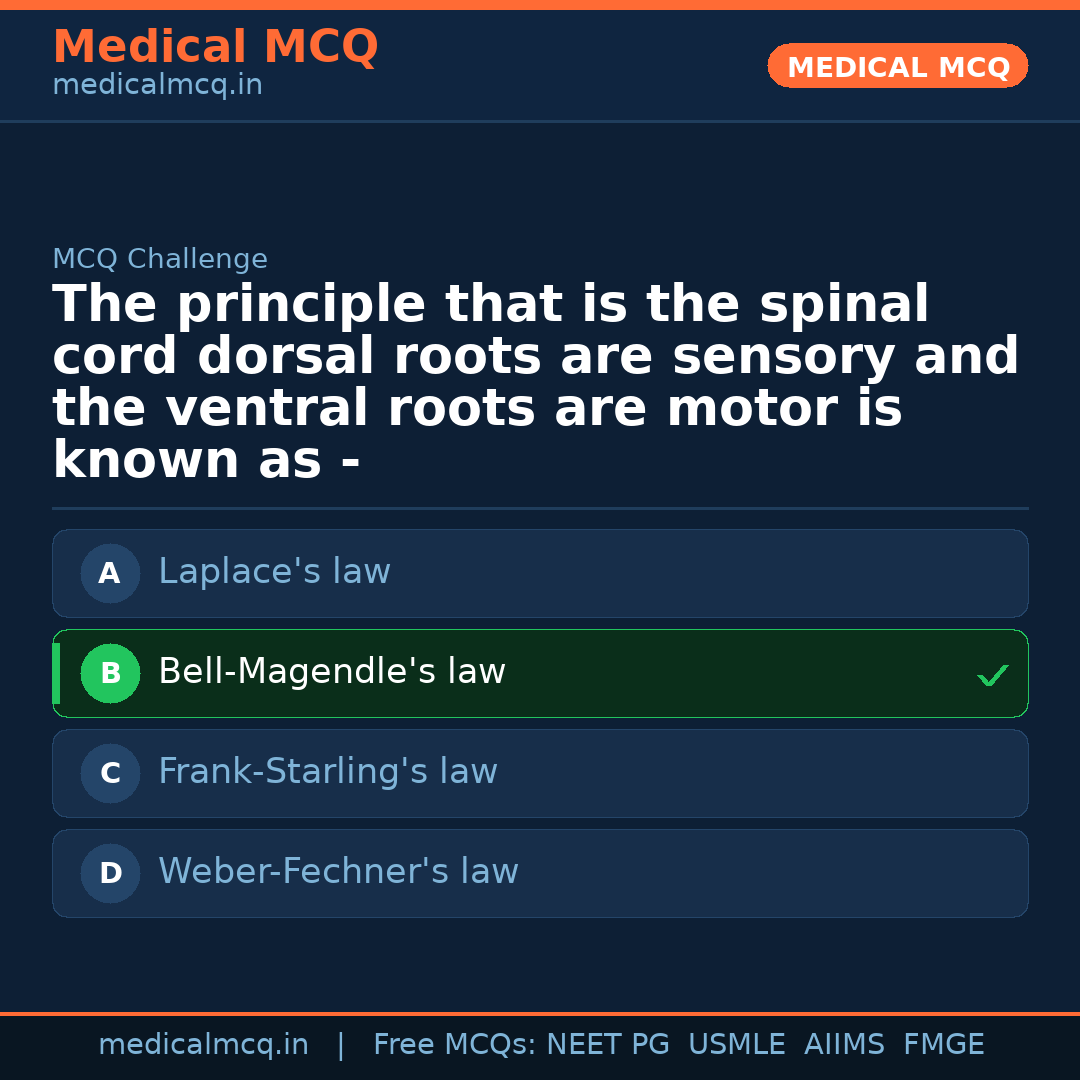 MCQ share card