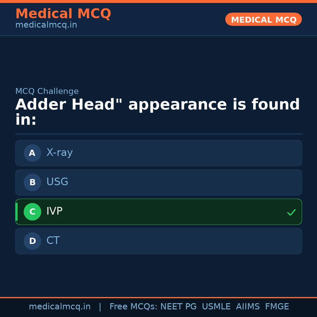MCQ share card