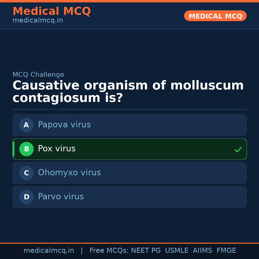 MCQ share card