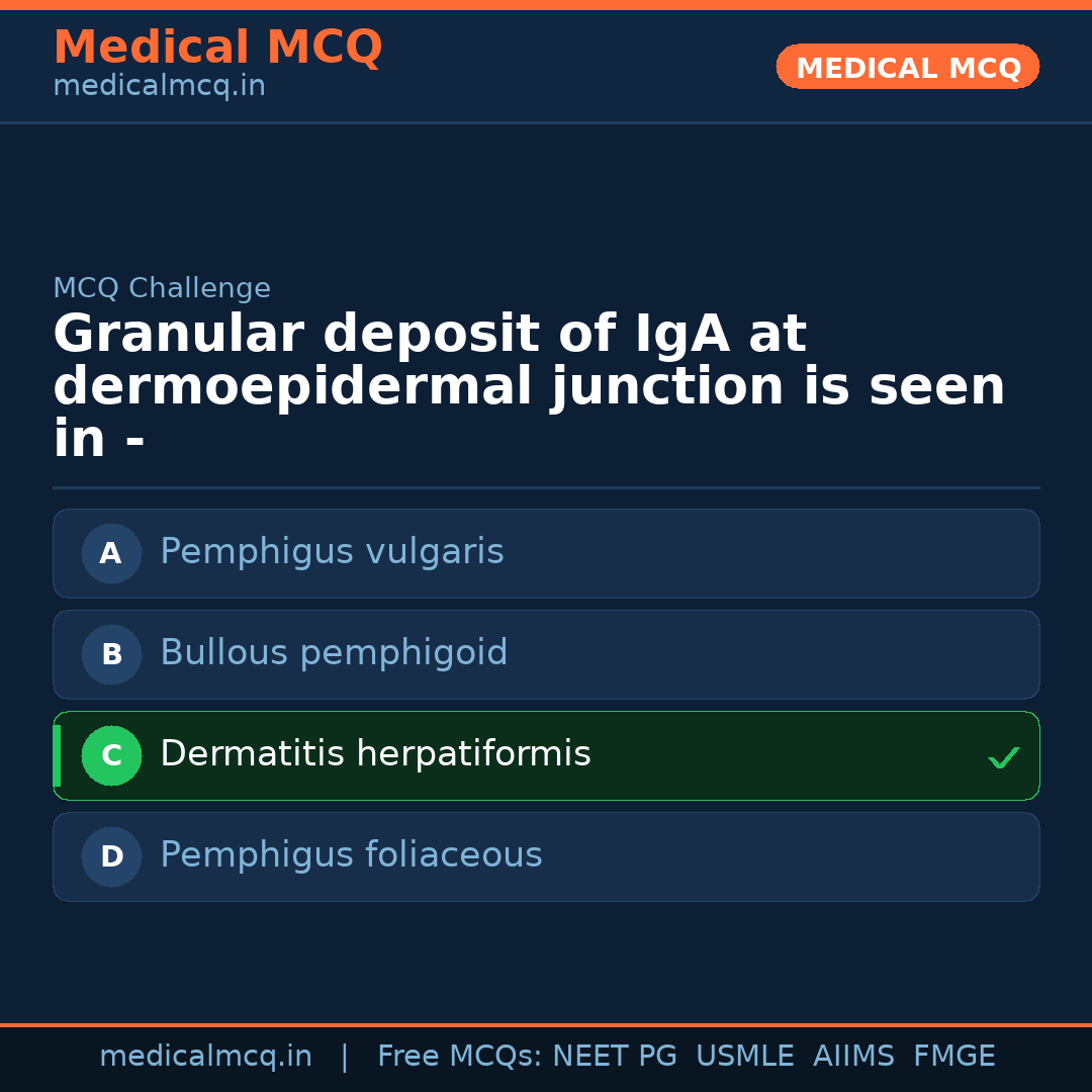 MCQ share card
