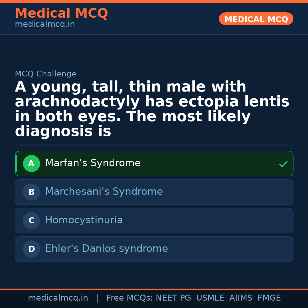 MCQ share card