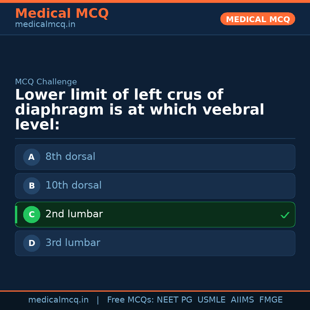 MCQ share card