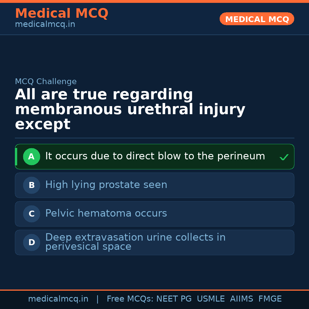 MCQ share card