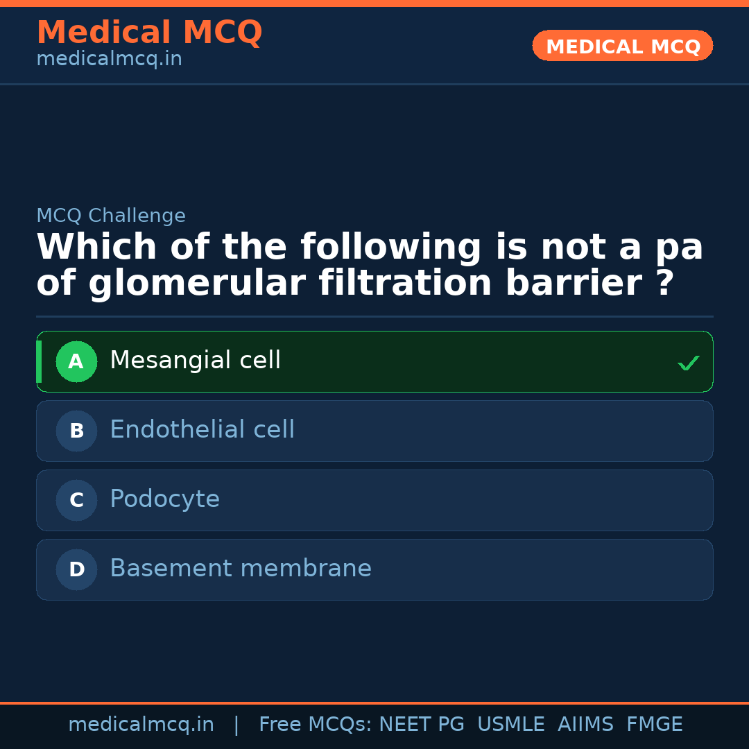 MCQ share card