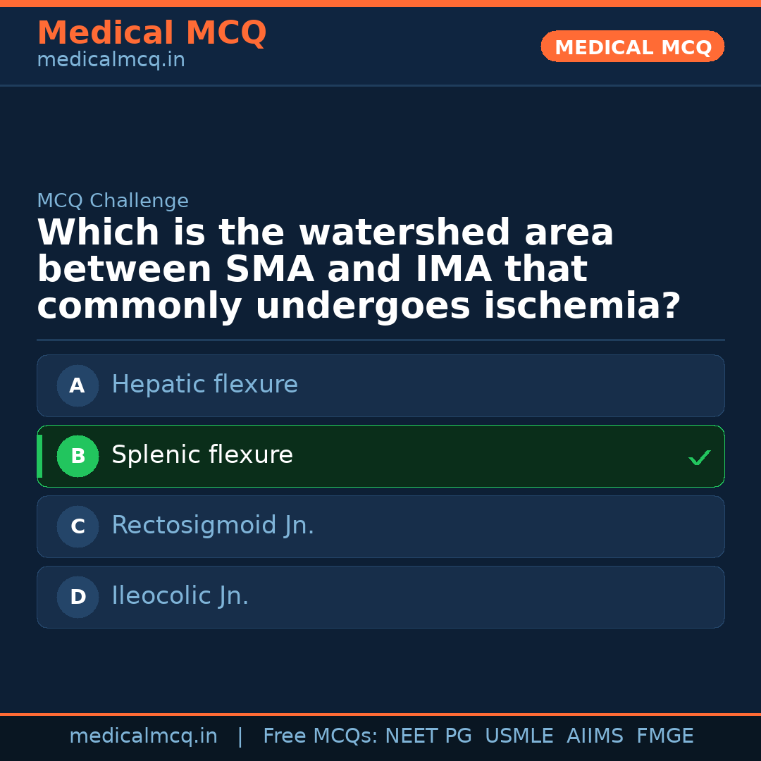 MCQ share card