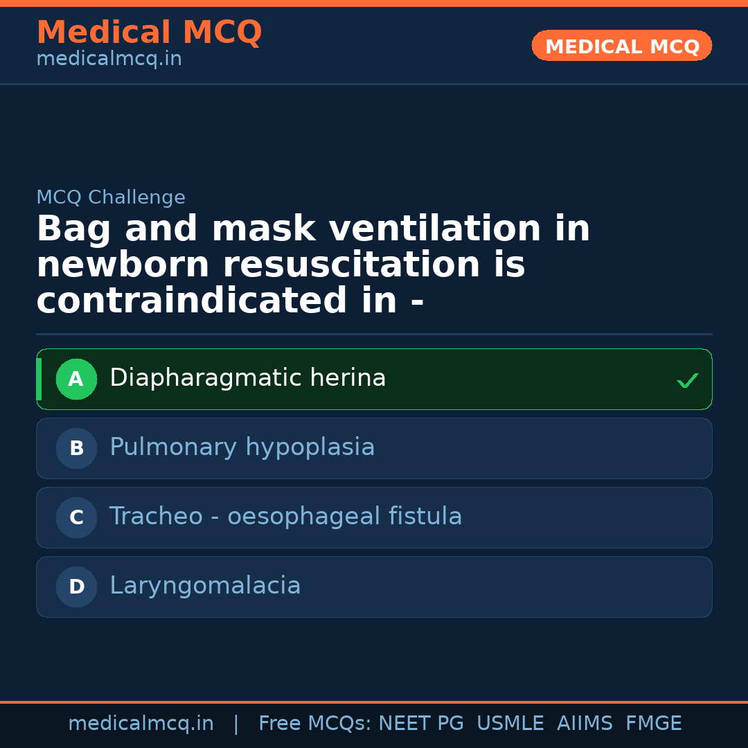 MCQ share card