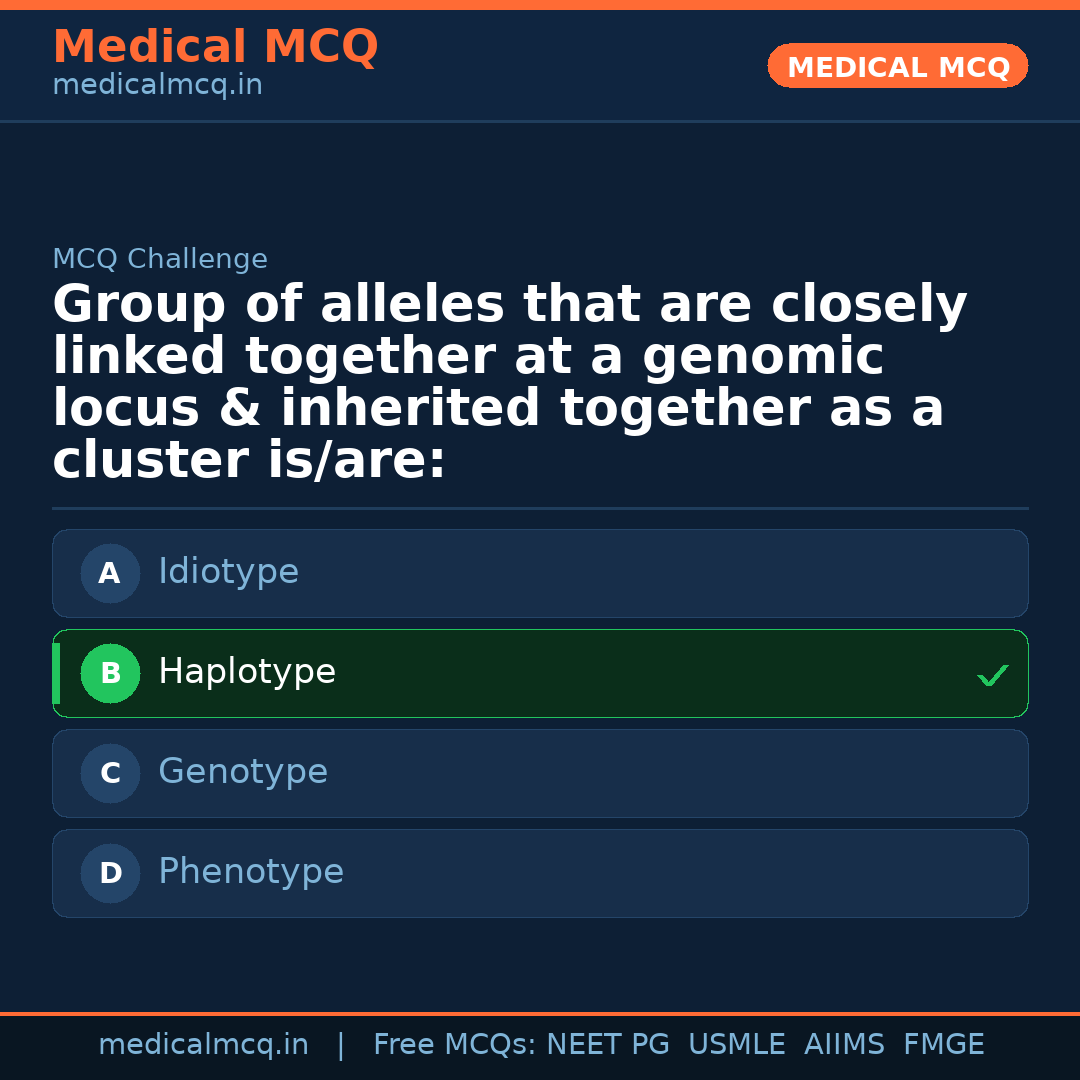 MCQ share card