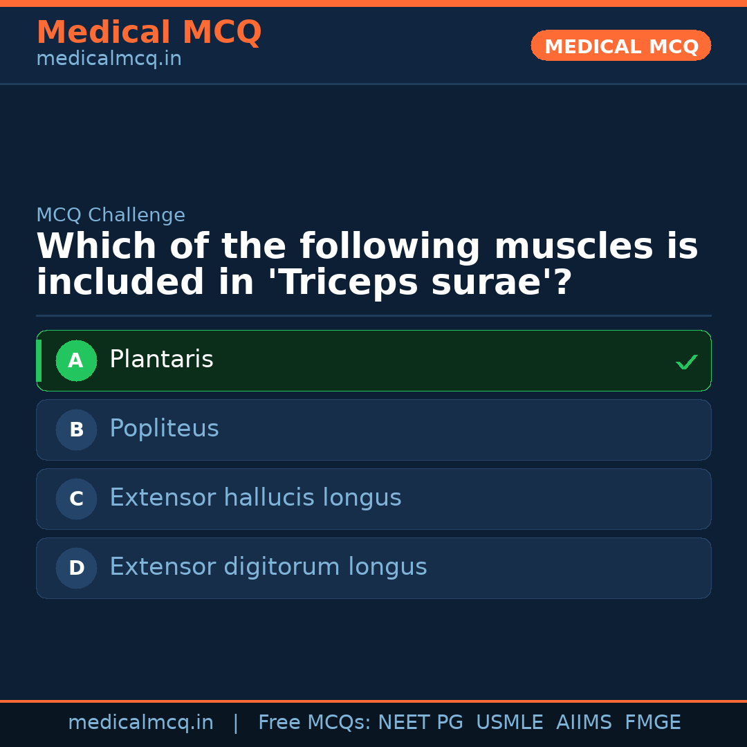 MCQ share card