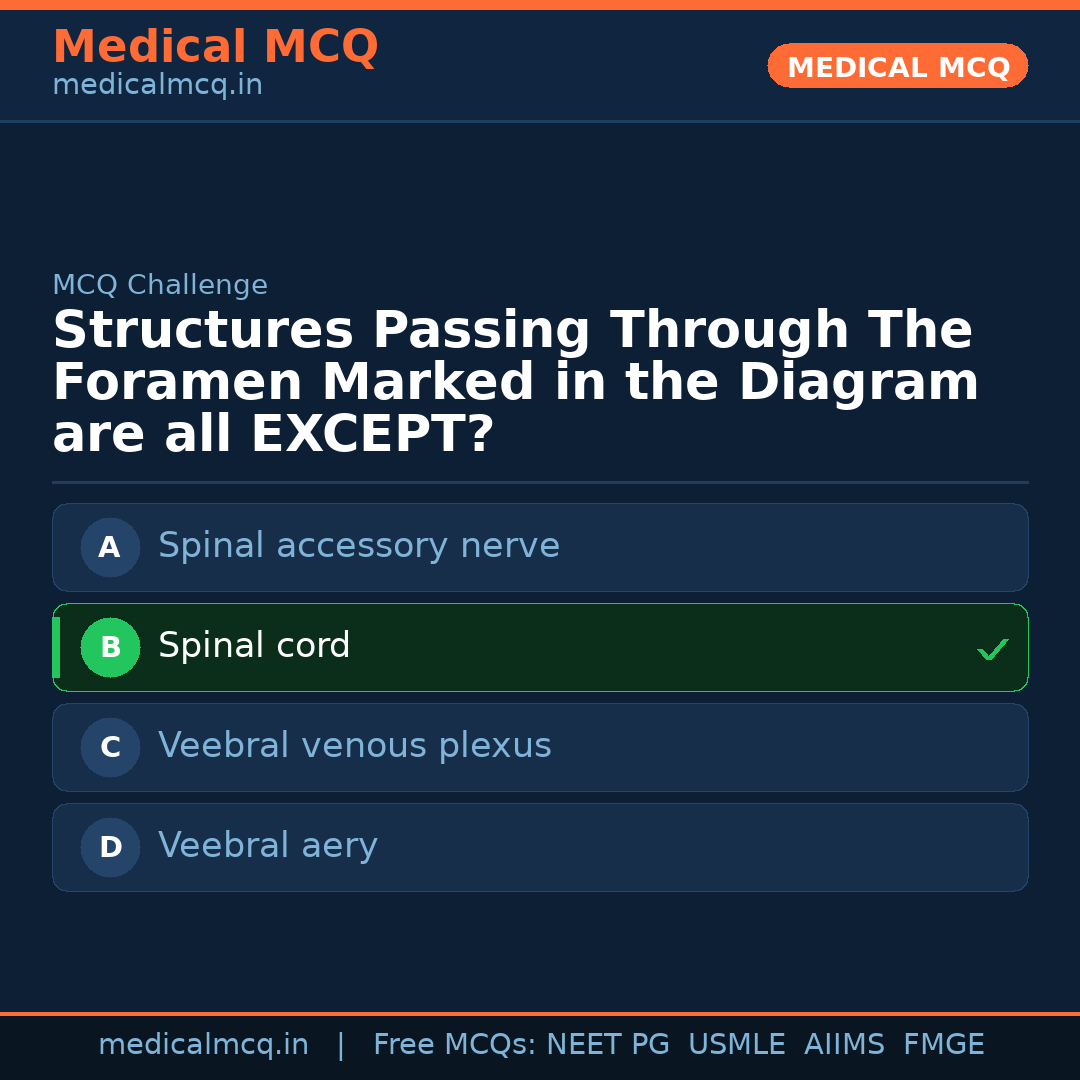 MCQ share card
