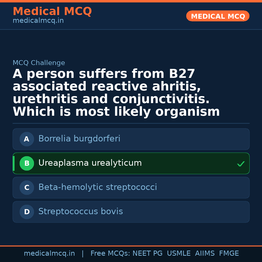 MCQ share card