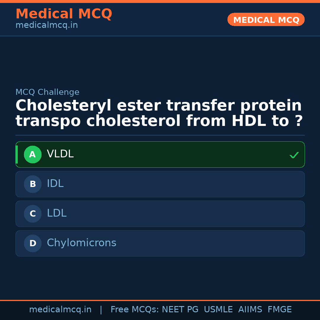MCQ share card