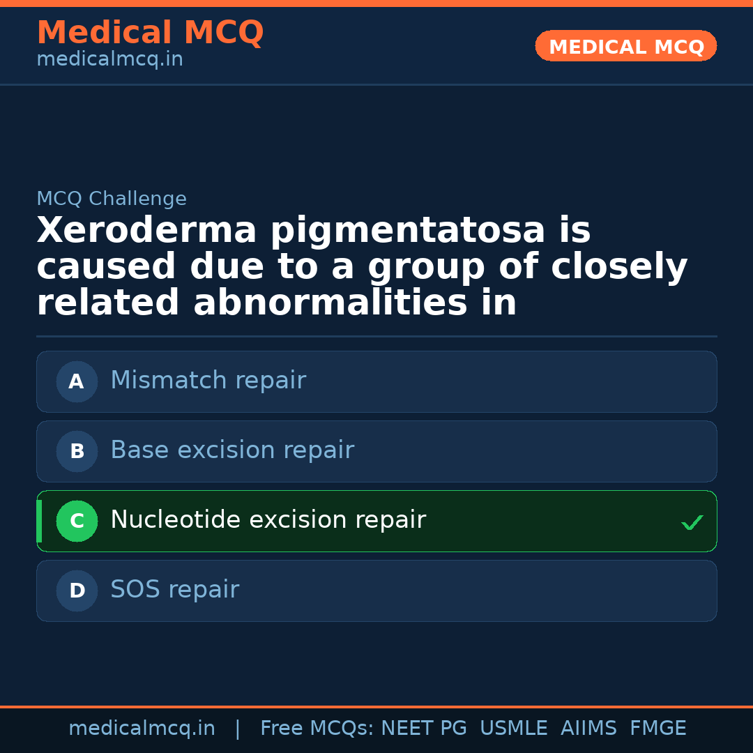 MCQ share card