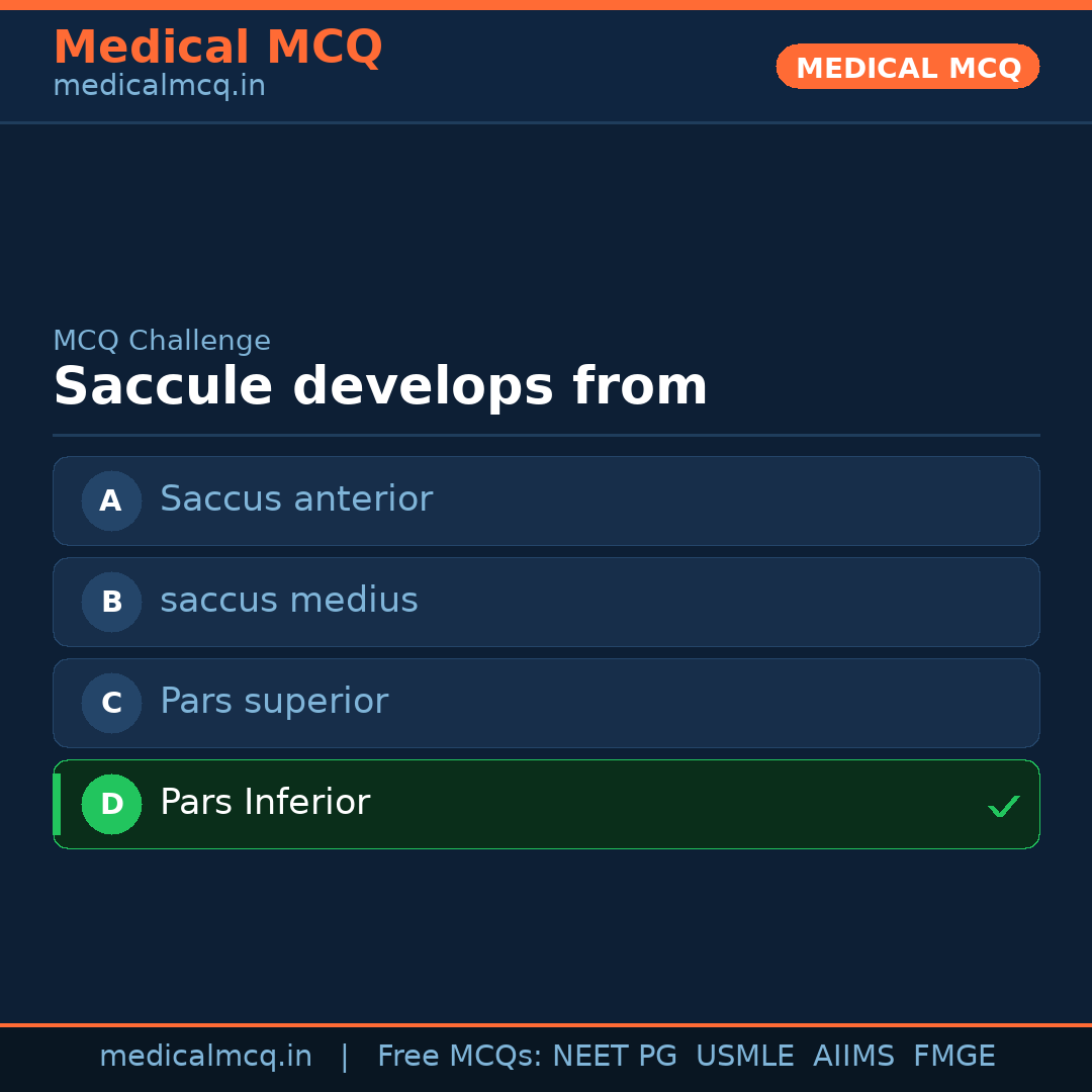 MCQ share card
