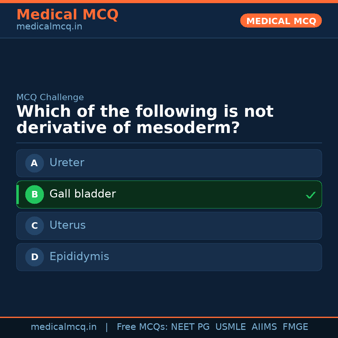 MCQ share card