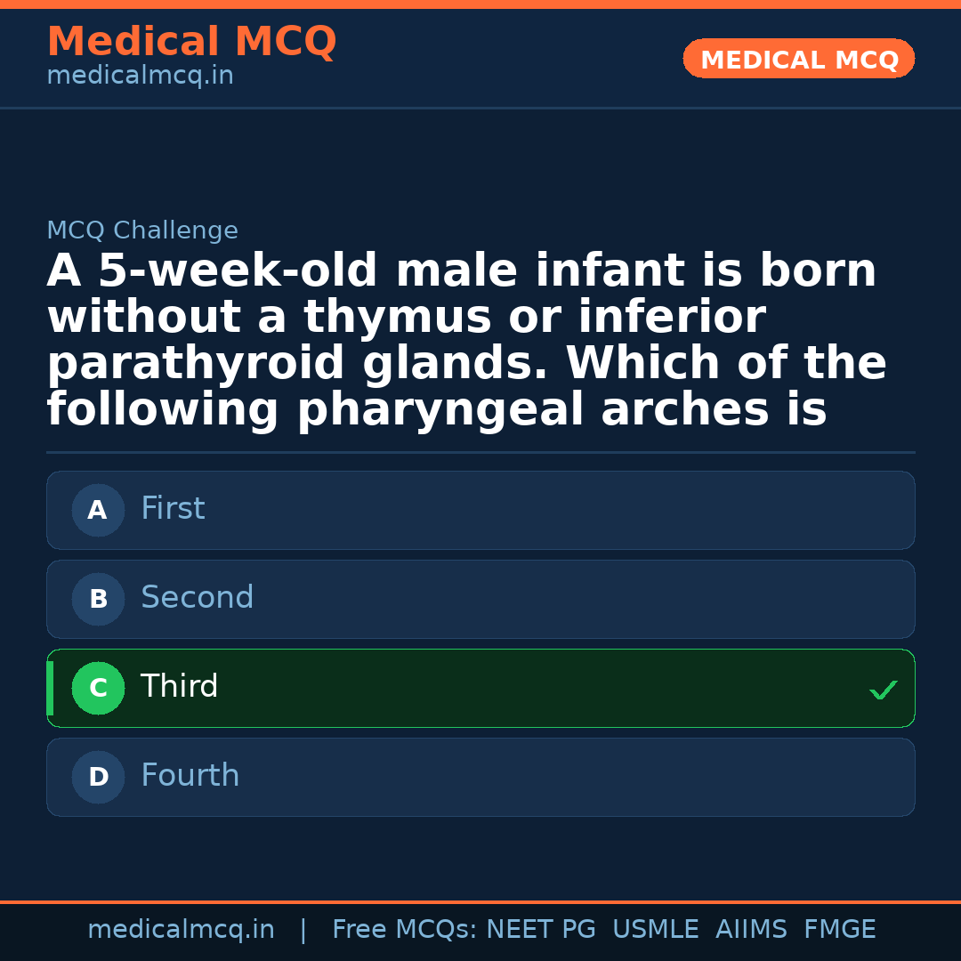 MCQ share card