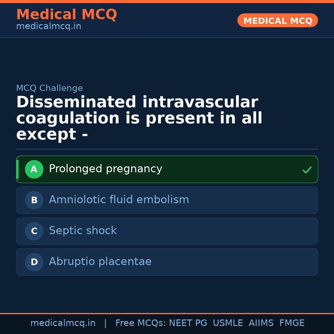 MCQ share card