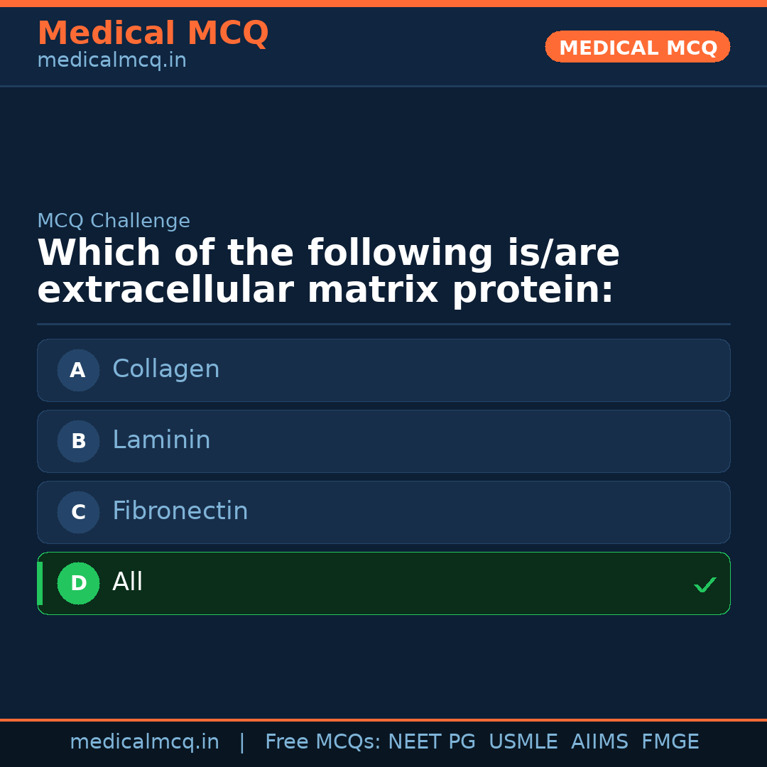 MCQ share card