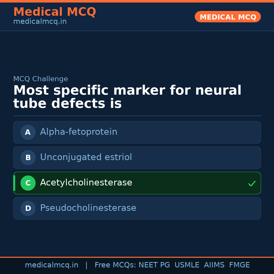 MCQ share card