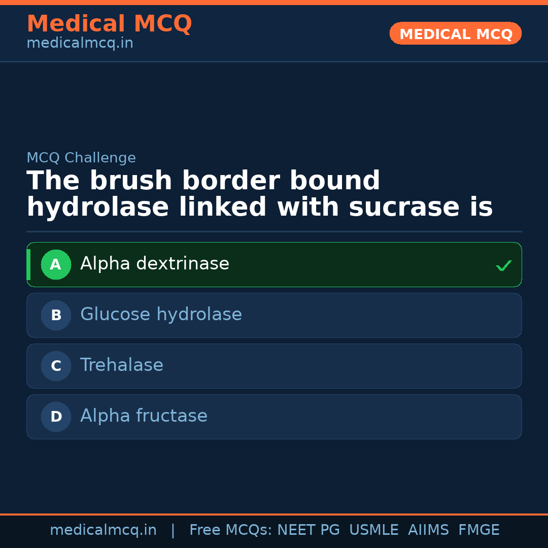 MCQ share card