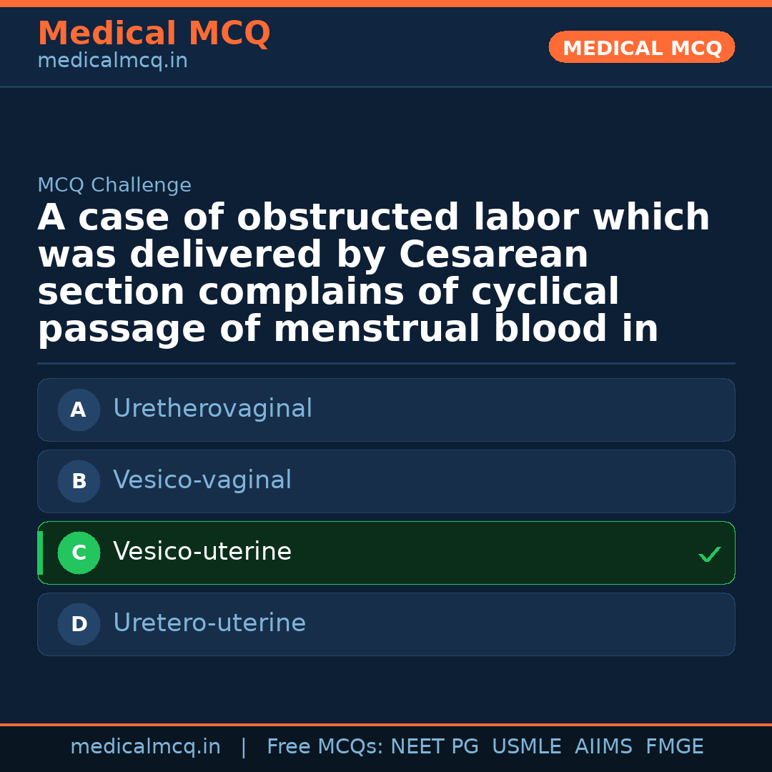 MCQ share card