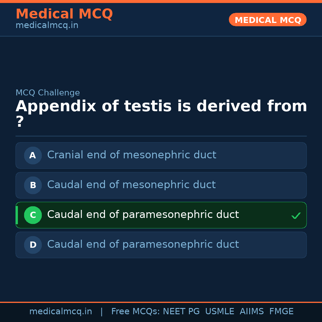 MCQ share card