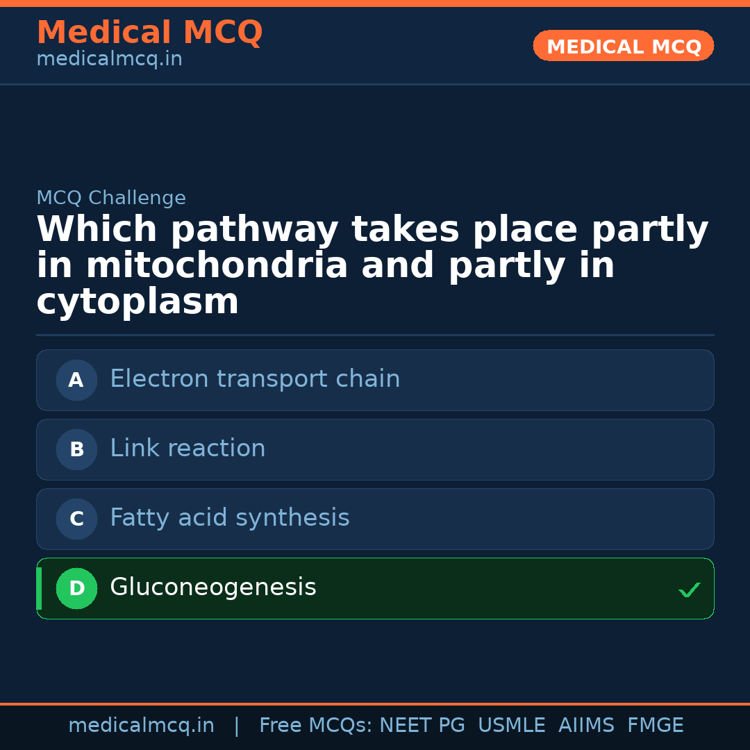 MCQ share card
