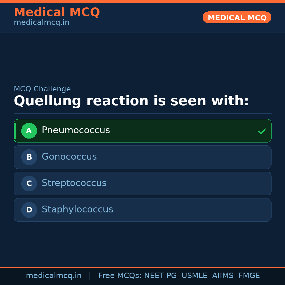 MCQ share card