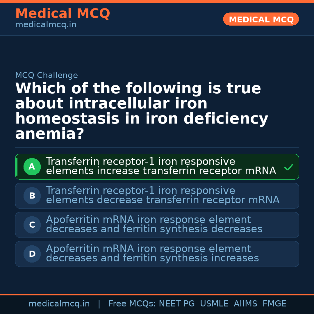 MCQ share card