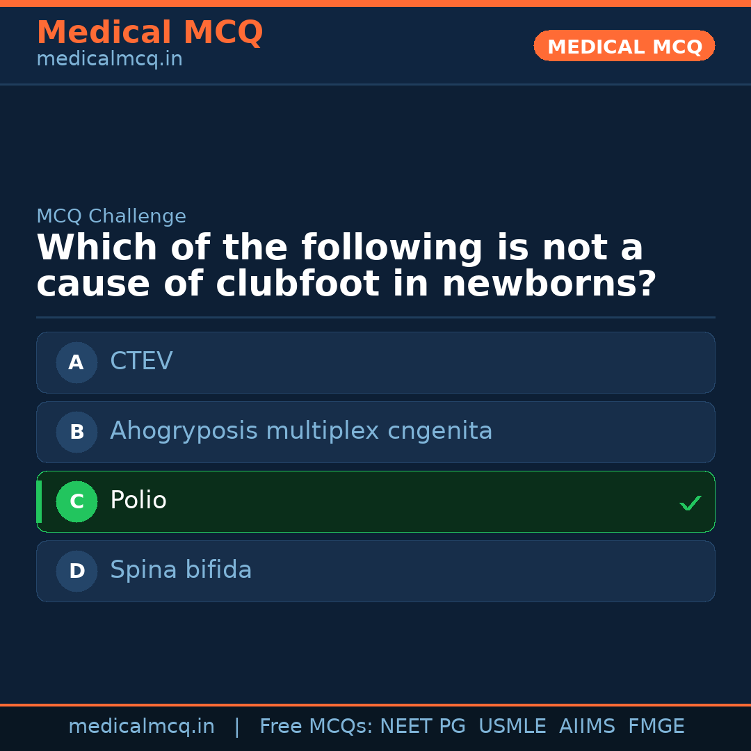 MCQ share card