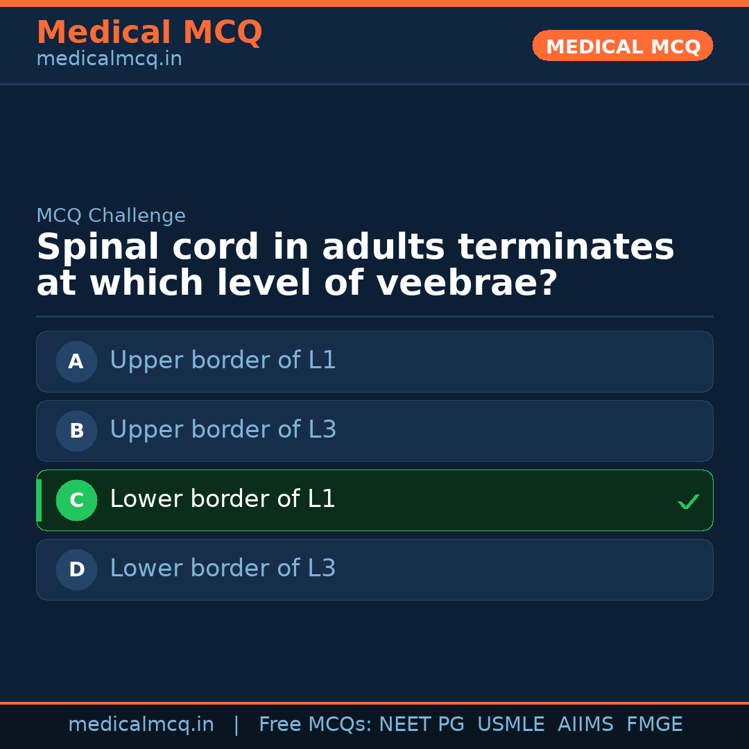 MCQ share card