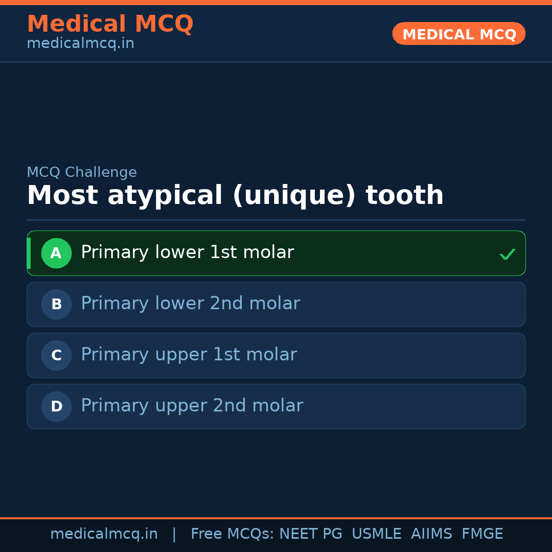 MCQ share card