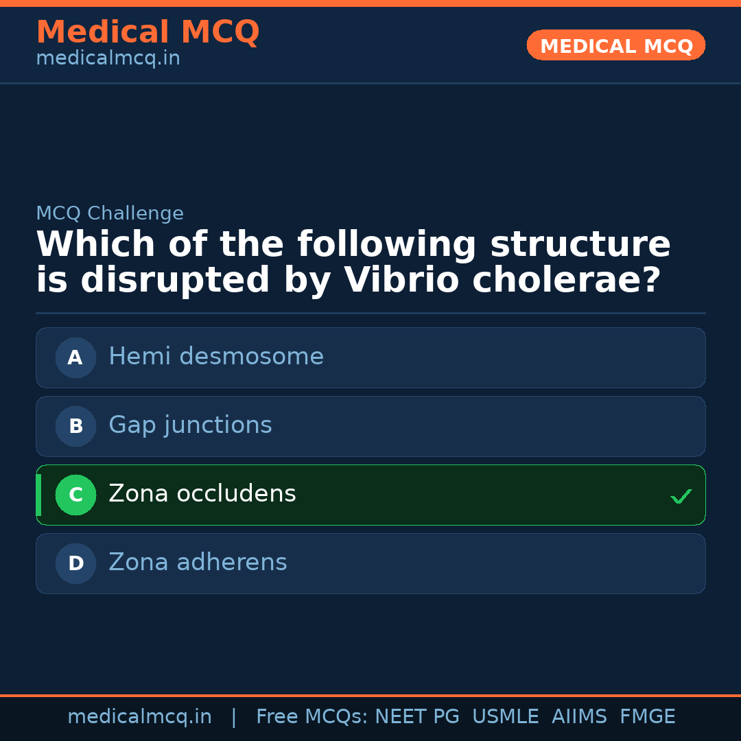 MCQ share card