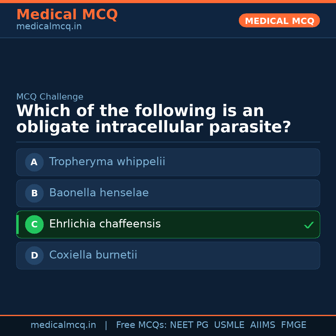 MCQ share card