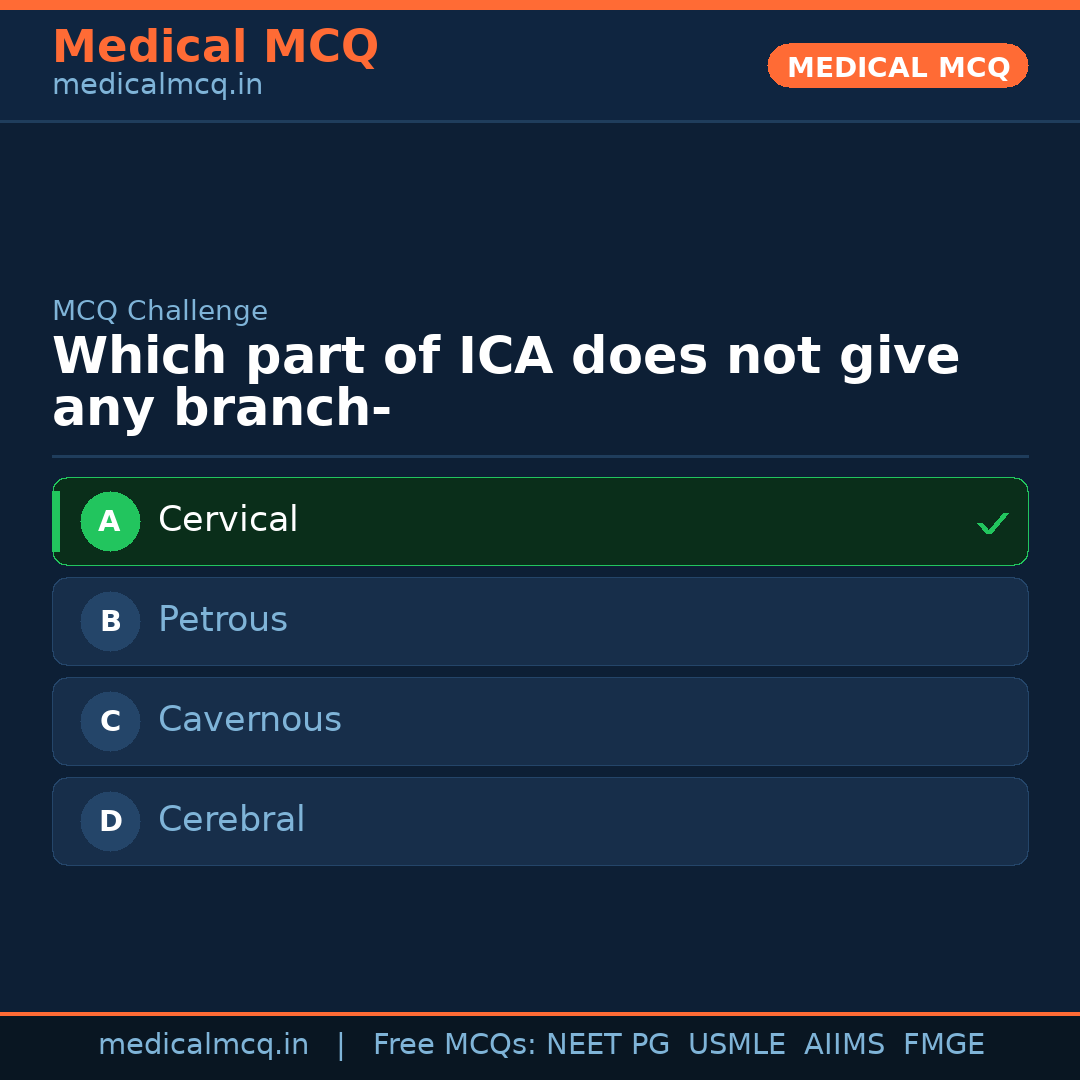 MCQ share card
