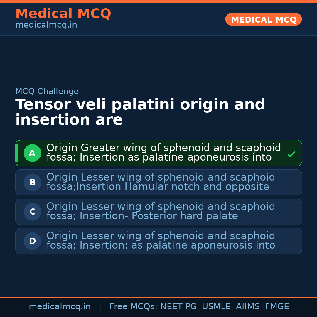 MCQ share card
