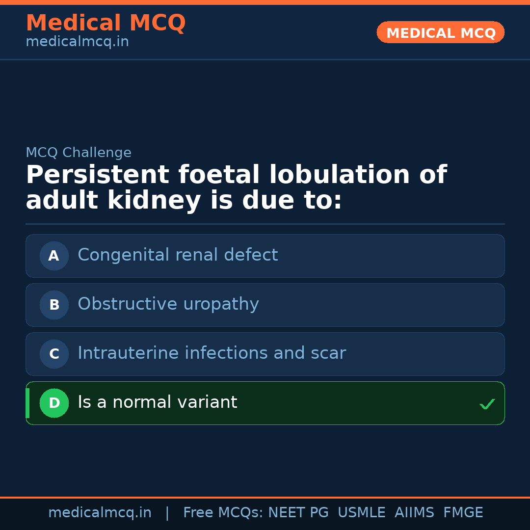MCQ share card
