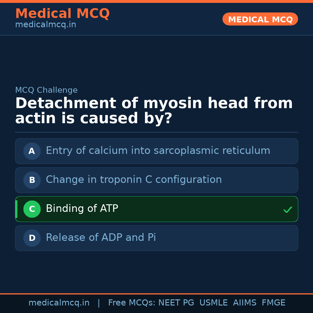 MCQ share card