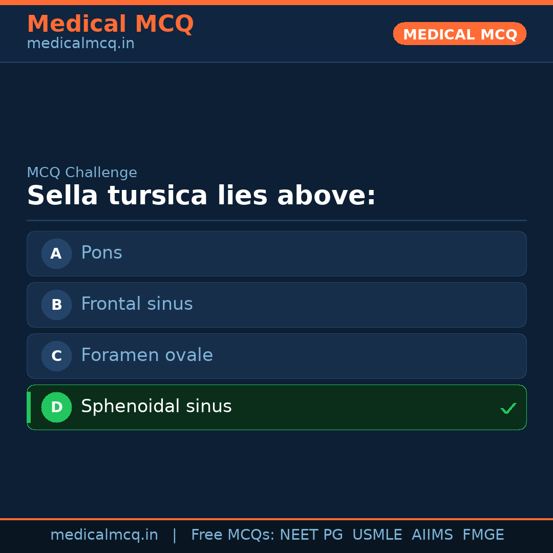 MCQ share card