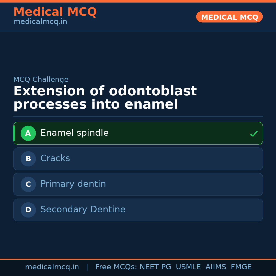 MCQ share card
