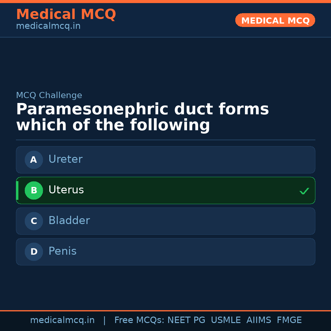 MCQ share card