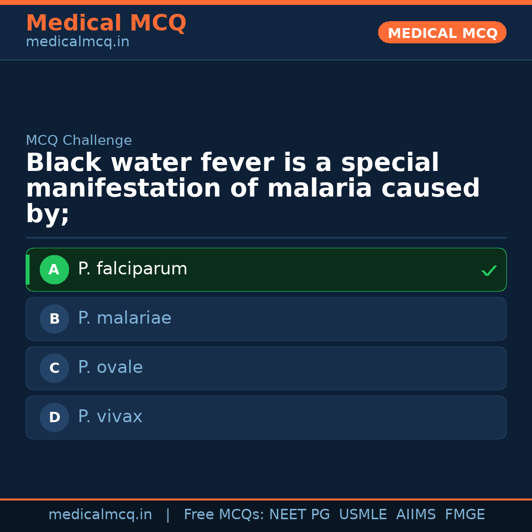 MCQ share card