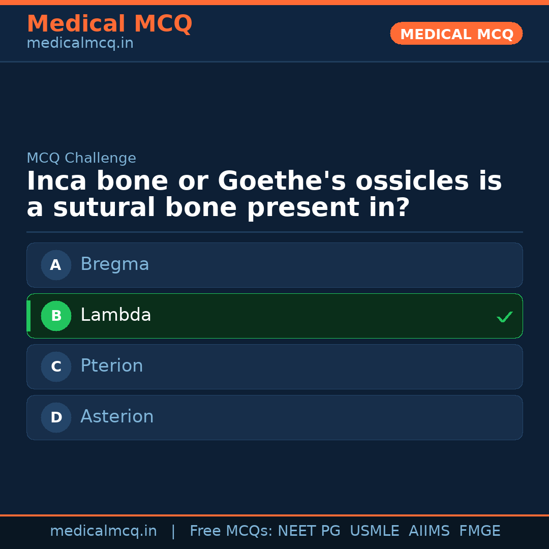 MCQ share card