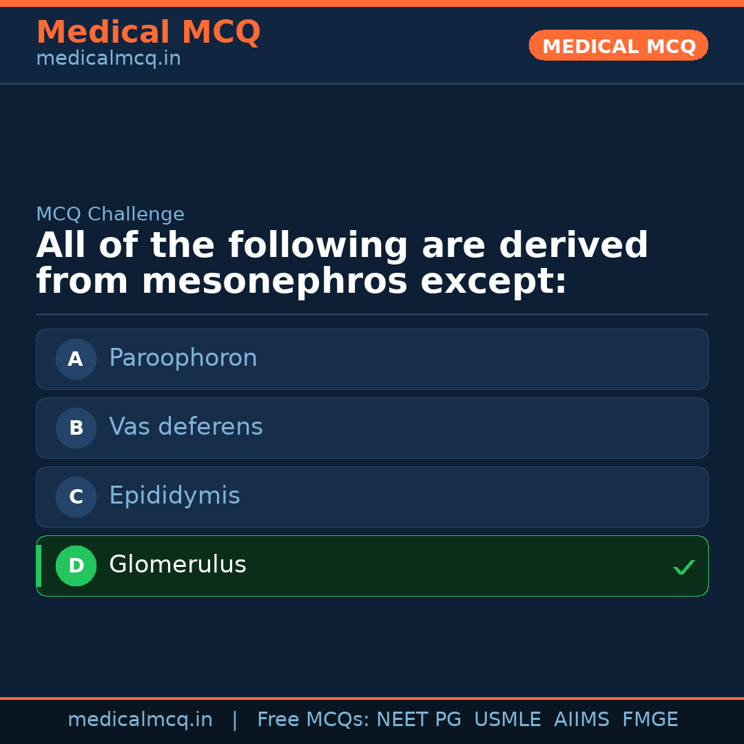 MCQ share card