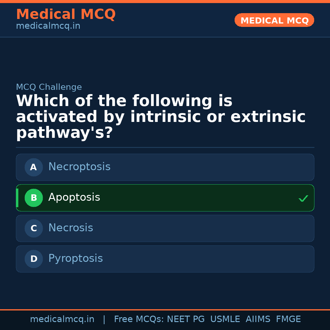 MCQ share card