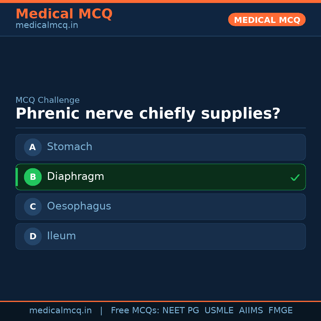 MCQ share card
