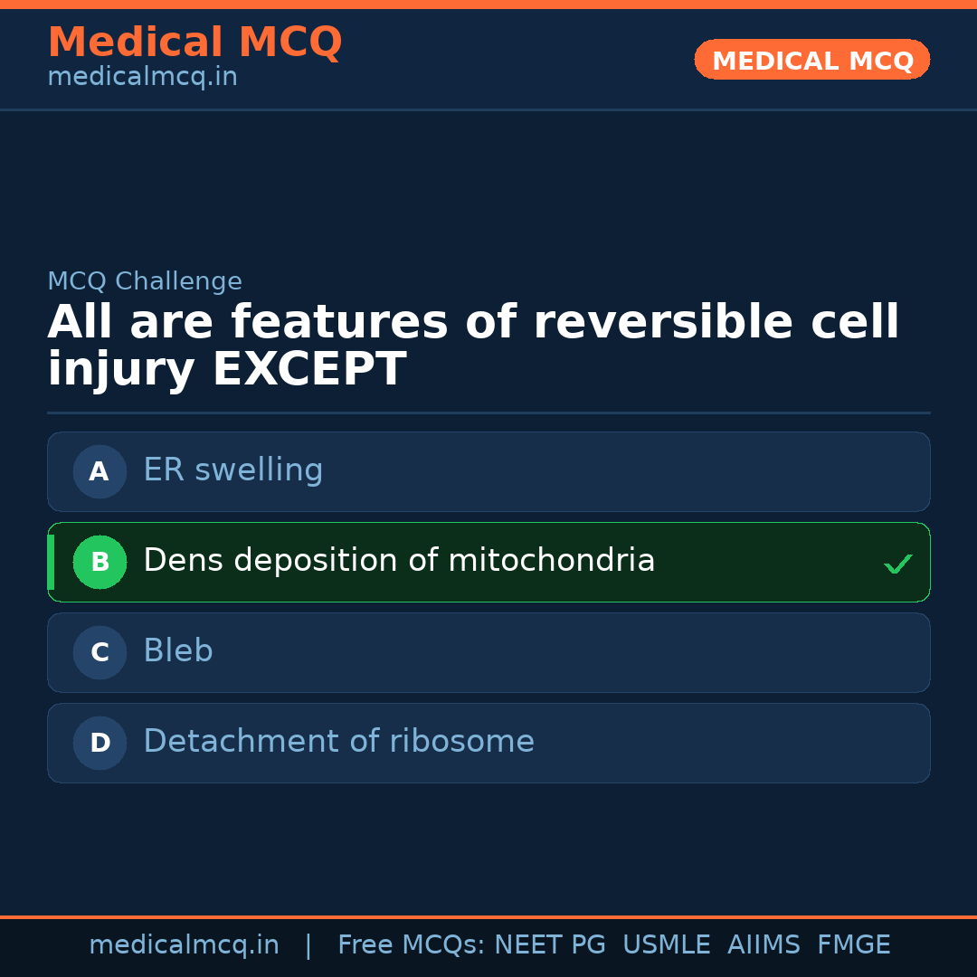 MCQ share card