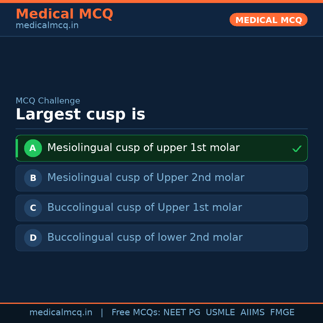 MCQ share card